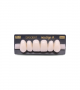 NEO LIGN A TOOTH ANT F44 UPPER BL3 6 pc ASST 13, 12, 11, 21, 22, 23
