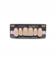 NEO LIGN A TOOTH ANT F44 UPPER C1 6 pc