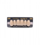 NEO LIGN A TOOTH ANT F44 UPPER C1 6 pc ASST 13, 12, 11, 21, 22, 23