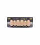 NEO LIGN A TOOTH ANT F44 UPPER C2 6 pc