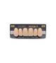 NEO LIGN A TOOTH ANT F44 UPPER C2 6 pc ASST 13, 12, 11, 21, 22, 23