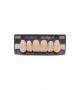 NEO LIGN A TOOTH ANT F44 UPPER D2 6 pc ASST 13, 12, 11, 21, 22, 23