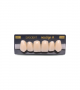 NEO LIGN A TOOTH ANT H46 UPPER A1 6 pc ASST 13, 12, 11, 21, 22, 23