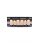 NEO LIGN A TOOTH ANT H46 UPPER A1 6 pc