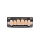 NEO LIGN A TOOTH ANT H46 UPPER A2 6 pc