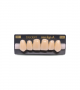 NEO LIGN A TOOTH ANT H46 UPPER A2 6 pc ASST 13, 12, 11, 21, 22, 23