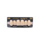 NEO LIGN A TOOTH ANT H46 UPPER B1 6 pc