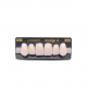 NEO LIGN A TOOTH ANT H46 UPPER BL3 6 pc ASST 13, 12, 11, 21, 22, 23