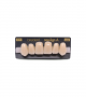 NEO LIGN A TOOTH ANT H46 UPPER C1 6 pc