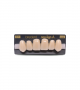 NEO LIGN A TOOTH ANT H46 UPPER C1 6 pc ASST 13, 12, 11, 21, 22, 23
