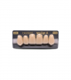 NEO LIGN A TOOTH ANT H46 UPPER C2 6 pc