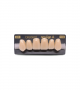 NEO LIGN A TOOTH ANT H46 UPPER C2 6 pc ASST 13, 12, 11, 21, 22, 23