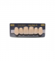 NEO LIGN A TOOTH ANT H46 UPPER D2 6 pc ASST 13, 12, 11, 21, 22, 23