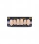 NEO LIGN A TOOTH ANT I45 UPPER A1 6 pc
