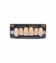 NEO LIGN A TOOTH ANT I45 UPPER A1 6 pc ASST 13, 12, 11, 21, 22, 23