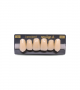 NEO LIGN A TOOTH ANT I45 UPPER A2 6 pc