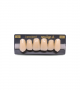 NEO LIGN A TOOTH ANT I45 UPPER A2 6 pc ASST 13, 12, 11, 21, 22, 23