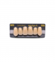NEO LIGN A TOOTH ANT I45 UPPER A3 6 pc