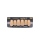 NEO LIGN A TOOTH ANT I45 UPPER A3.5 6 pc ASST 13, 12, 11, 21, 22, 23