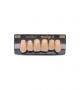 NEO LIGN A TOOTH ANT I45 UPPER A3.5 6 pc