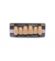 NEO LIGN A TOOTH ANT I45 UPPER A4 6 pc