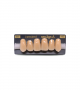 NEO LIGN A TOOTH ANT I45 UPPER A4 6 pc ASST 13, 12, 11, 21, 22, 23
