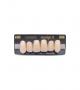 NEO LIGN A TOOTH ANT I45 UPPER B1 6 pc ASST 13, 12, 11, 21, 22, 23