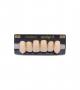 NEO LIGN A TOOTH ANT I45 UPPER B2 6 pc