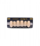 NEO LIGN A TOOTH ANT I45 UPPER B2 6 pc ASST 13, 12, 11, 21, 22, 23