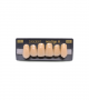 NEO LIGN A TOOTH ANT I45 UPPER B3 6 pc ASST 13, 12, 11, 21, 22, 23