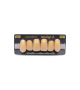 NEO LIGN A TOOTH ANT I45 UPPER B4 6 pc ASST 13, 12, 11, 21, 22, 23