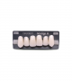 NEO LIGN A TOOTH ANT I45 UPPER BL3 6 pc