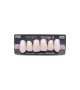 NEO LIGN A TOOTH ANT I45 UPPER BL3 6 pc ASST 13, 12, 11, 21, 22, 23