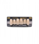 NEO LIGN A TOOTH ANT I45 UPPER C1 6 pc