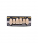 NEO LIGN A TOOTH ANT I45 UPPER C1 6 pc ASST 13, 12, 11, 21, 22, 23