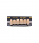 NEO LIGN A TOOTH ANT I45 UPPER C2 6 pc