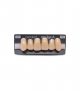 NEO LIGN A TOOTH ANT I45 UPPER C3 6 pc ASST 13, 12, 11, 21, 22, 23
