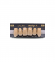 NEO LIGN A TOOTH ANT I45 UPPER C4 6 pc ASST 13, 12, 11, 21, 22, 23