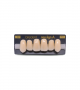 NEO LIGN A TOOTH ANT I45 UPPER D2 6 pc