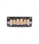 NEO LIGN A TOOTH ANT I45 UPPER D2 6 pc ASST 13, 12, 11, 21, 22, 23