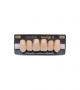 NEO LIGN A TOOTH ANT I45 UPPER D3 6 pc