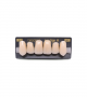 NEO LIGN A TOOTH ANT I47 UPPER A1 6 pc