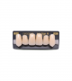 NEO LIGN A TOOTH ANT I47 UPPER A1 6 pc ASST 13, 12, 11, 21, 22, 23