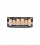 NEO LIGN A TOOTH ANT I47 UPPER A2 6 pc ASST 13, 12, 11, 21, 22, 23