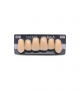 NEO LIGN A TOOTH ANT I47 UPPER A3 6 pc