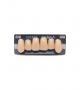 NEO LIGN A TOOTH ANT I47 UPPER A3 6 pc ASST 13, 12, 11, 21, 22, 23