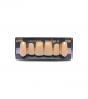 NEO LIGN A TOOTH ANT I47 UPPER A3.5 6 pc