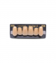 NEO LIGN A TOOTH ANT I47 UPPER A3.5 6 pc ASST 13, 12, 11, 21, 22, 23