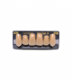 NEO LIGN A TOOTH ANT I47 UPPER A4 6 pc