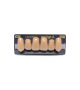 NEO LIGN A TOOTH ANT I47 UPPER A4 6 pc ASST 13, 12, 11, 21, 22, 23